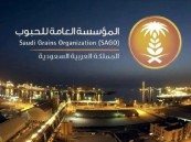 “العامة للحبوب” تنهي ترسية مناقصة القمح الخامسة لعام 2022