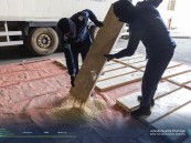 شاهد..إحباط محاولة تهريب أكثر من 3.2 مليون حبة كبتاجون عبرميناء جدة