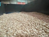 إحباط تهريب مليوني قرص إمفيتامين مخبأة بشحنة مكائن حديدية.. والقبض على مستقبليها