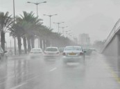 منها الشرقية.. استمرار هطول الأمطار الرعدية على معظم مناطق المملكة اليوم حتى السبت المقبل