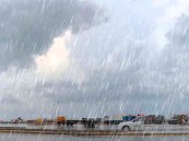 “الصحة”: 7 نصائح لمرضى الربو خلال هطول الأمطار