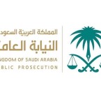 النيابة العامة: الاعتداء على حرمة الحياة الخاصة عبر الشبكة المعلوماتية جريمة جنائية