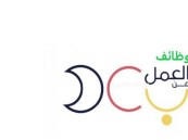 برنامج العمل عن بعد يوفر وظائف شاغرة لمختلف المؤهلات