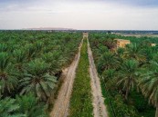 تزامنا مع كأس العالم 2022 .. أبرز الأماكن السياحية والتراثية والثقافية بالاحساء