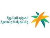 خطة الموارد البشرية في 2023: توطين 11 قطاعًا جديدًا