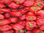 تعرف على أفضل الأطعمة للحفاظ على صحة الكلى