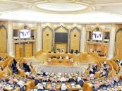 “الشورى”يوافق على مشروعي لائحتين للمنشآت الاجتماعية للأشخاص ذوي الإعاقة