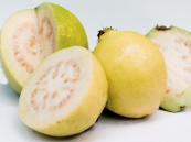 فوائد لا تُحصى لتناول الجوافة يوميًا