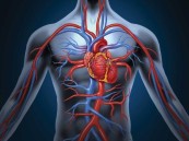 “سعود الطبية”: 5 أعراض لا يجب إهمالها لتجنب الإصابة بأمراض القلب