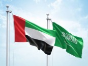وزارة الخارجية.. نجاح الوساطة الإماراتية السعودية بشأن الإفراج وتبادل مسجونين بين أمريكا وروسيا