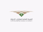 حددت التزامات المؤجر والمستأجر والتعويض.. تفاصيل اللائحة التنفيذية لنظام استئجار العقار