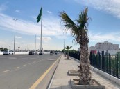 بعد 50 يوم البدء في الزامية تسوير الأراضي الفضاء في الأحساء.. وهذه قيمة المخالفة