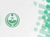 إطلاق خدمة عرض الهوية الرقمية لأفراد أسرة المقيم عبر “أبشر”