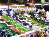 وثيقة العمل الحر إلزامية.. ضوابط الترخيص لمقدمي الخدمة بأسواق النفع العام