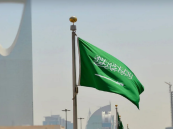 بـ 54 عملية ناجحة.. المملكة تحقق الريادة العالمية في فصل التوائم السيامية