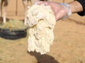 “البيئة” تحذر من استخدام العجين في تغذية الحيوانات وتوضح أضراره