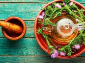 فوائد عشبة شوك الجمل عديدة وأبرزها علاج أمراض الكبد