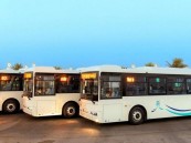 مؤشرات إيجابية لمشروع النقل العام بالحافلات في الشرقية