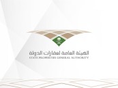 اليوم.. بدء العمل بالنظام الجديد لاستئجار الدولة للعقار ولائحته التنفيذية