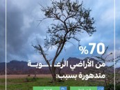 “البيئة ” : خمسة عوامل رئيسة تتسبب في تدهور الأراضي الرعوية بالمملكة