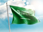 النيابة العامة: لا يجوز تنكيس العلم الوطني