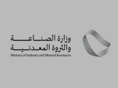 وزارة الصناعة والثروة المعدنية تعلن عن وظائف شاغرة