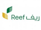 هل ينقطع دعم ريف في حالة التوظيف؟ البرنامج يُجيب