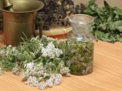 منها المساعدة في التئام الجروح.. تعرّف على الفوائد الصحية لعشبة القيصوم