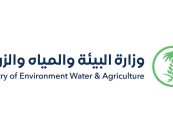 وزارة البيئة تفتح باب التقديم لشغل 40 وظيفة
