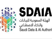 وظائف شاغرة بهيئة البيانات والذكاء الاصطناعي