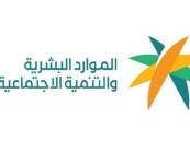 بدء سريان المرحلة الأولى من قرار توطين مهن الطيران المرخصة