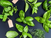 يخفف “التورم والالتهابات”.. 6 فوائد صحية لـ”الحبق”