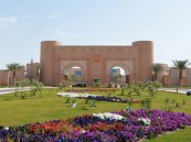 وظائف شاغرة بجامعة الملك فيصل بنظام العقود