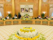 بعد موافقة “الوزراء”..نشر ضوابط إيقاف الخدمات