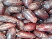 فوائد مذهلة للجسم بعد تناول 3 تمرات يوميًا