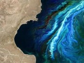 الأقمار الصناعية تكشف مفاجأة بشأن توسع رقعة الطحالب السامة في المحيطات