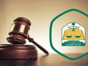 تعديلات على لائحة المحاماة.. ومطلب بتوحيد كليات القضاة والمحامين