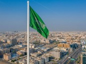 تضمن إرشادات ومحظورات.. إصدار الدليل الإرشادي لاستخدام العَلَم