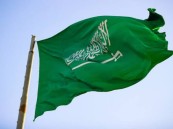 إيقاف الخدمات يكون بسند نظامي أو قرار أو أمر سامٍ