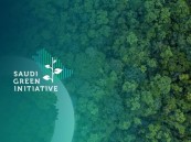 المملكة الأولى عالميا في نمو إنتاج الطاقة المتجددة