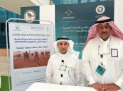 تقدم حالياً بالمجان.. خطوتان لترقيم الإبل تقوم بهما وزارة البيئة والمياه والزراعة