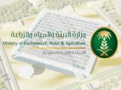 “البيئة” تؤكد أهميةَ دور الأطباء البيطريين في مواجهة الأمراض والجوائح