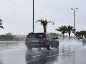 “الأرصاد”: الحالة المطرية مستمرة حتى إجازة العيد