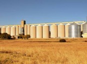 بـ (3.5) ملايين طن.. “البيئة” تنجح في بناء أكبر طاقة تخزينية متطورة للحبوب في الشرق الأوسط