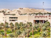 أمانة الأحساء تعلن خطوات التقديم على أسواق المنتجات الزراعية “اللويمي والشقيق والدالوة”