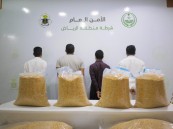 فيديو .. مداهمة خلية ترويج مخدرات، وضبط أكثر من 1.2 مليون قرص من مادة الإمفيتامين المخدر مخبأة باحترافية داخل ألواح زجاجية