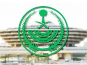 الداخلية تمدد مهلة السماح بترخيص الأسلحة والذخائر غير النظامية لدى المواطنين