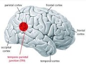 هل تُفسر موجات الدماغ خروج الروح أمام الناظرين؟