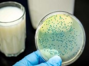 قد تنقل المرض للإنسان.. 5 حيوانات عرضة للإصابة بـ “الحمى المالطية”