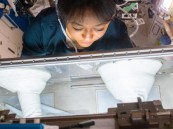 “ريانة” تجري تجربة في الفضاء لدراسة تأثير بعض العلاجات على الحالات الالتهابية